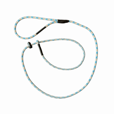 Church Socks Slip Leash