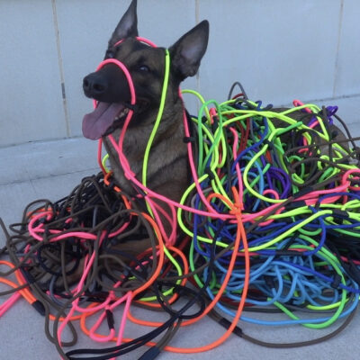Slip Leash