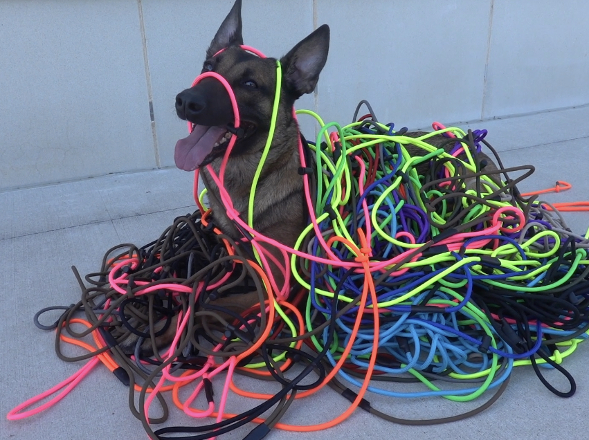 Slip Leash