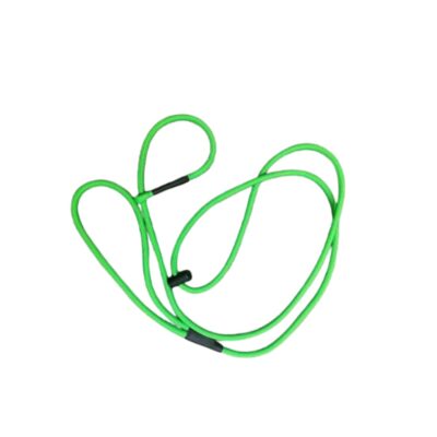 Toxic Green Slip Leash