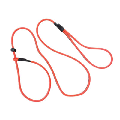 Neon Orange Slip Leash