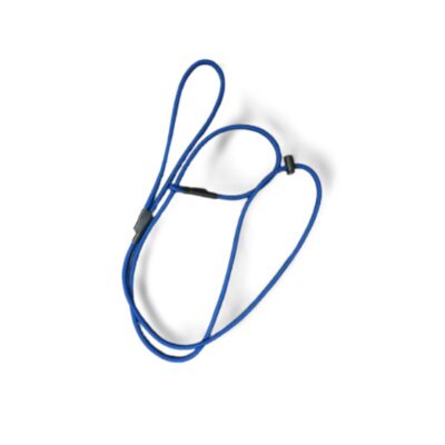 Blue Slip Leash