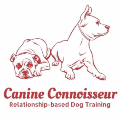 Canine Connoisseur Slip Leash