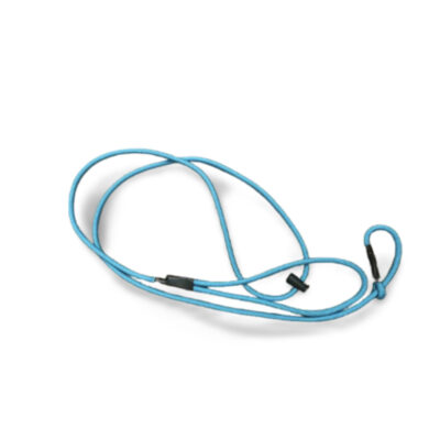 Teal Slip Leash