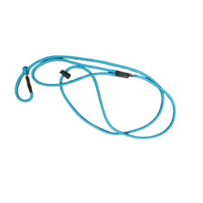 Turquoise Slip Leash