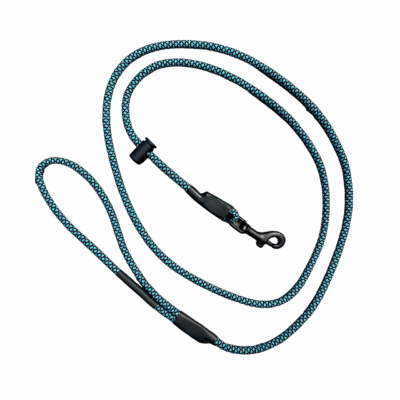 Teal and Black Diamond Slip With A Clip