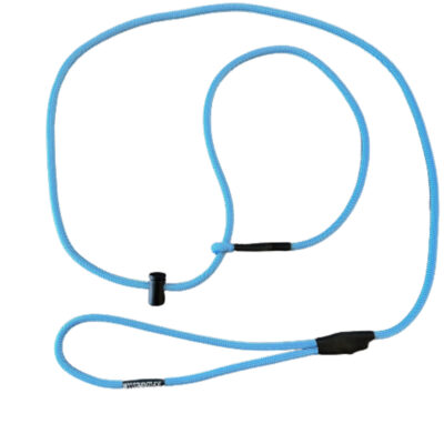 Baby Blue Slip Leash