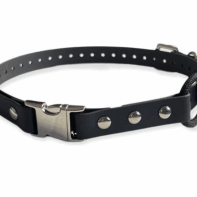 Quick Release E-Collar Strap