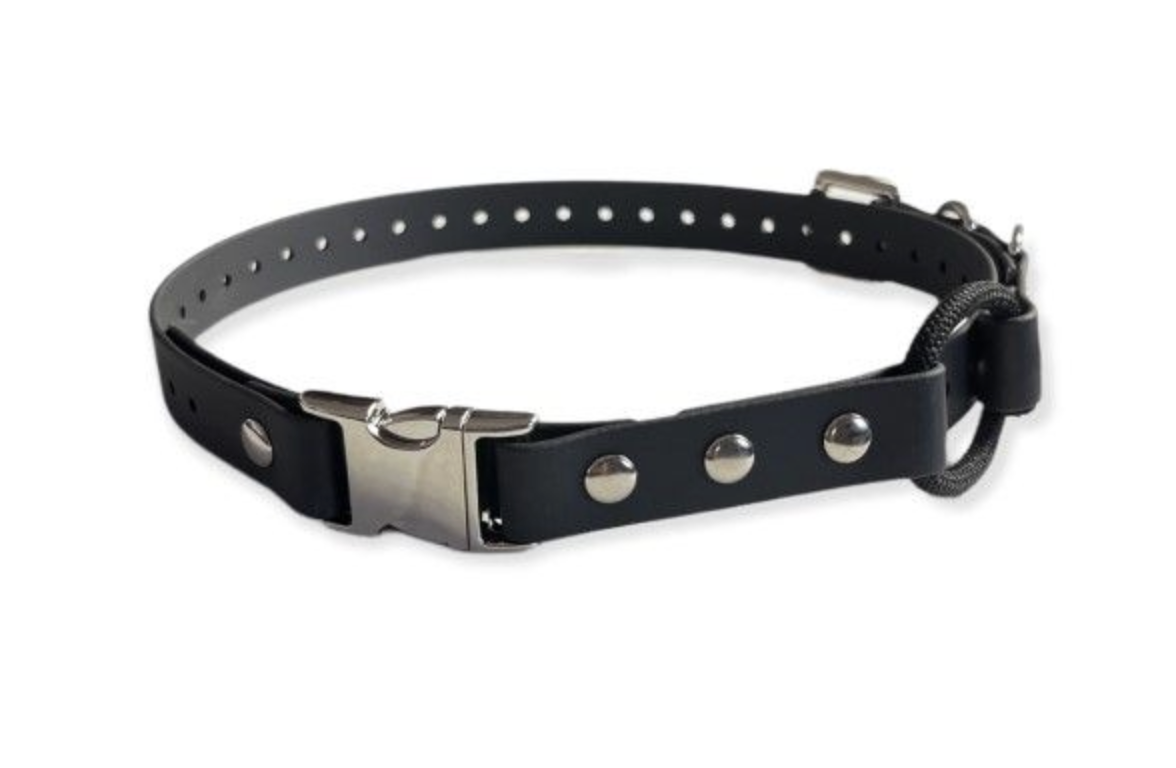 Quick Release E-Collar Strap