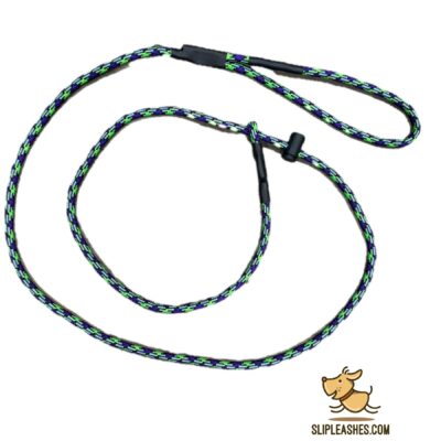 Beetlejuice Slip Leash