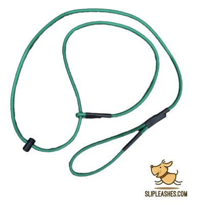 Kelly Green Slip Leash