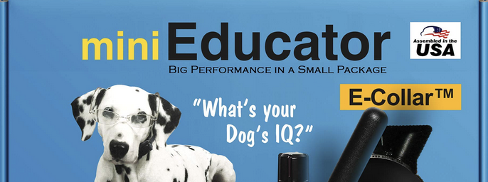 mini Educator ET-300 E-Collar - Image 2