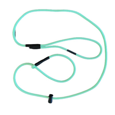 Mint Slip Leash