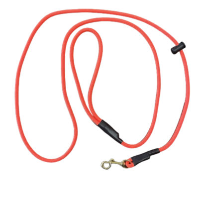 Neon Orange Slip With A Clip