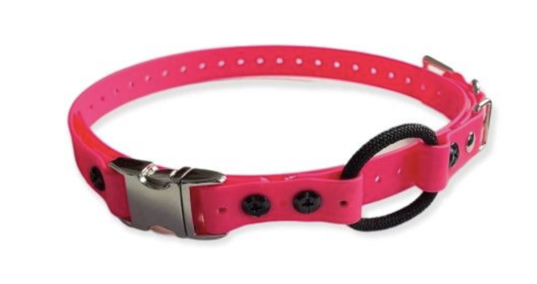 Quick Release E-Collar Strap - Image 2