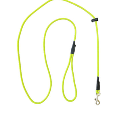Neon Yellow Slip With A Clip