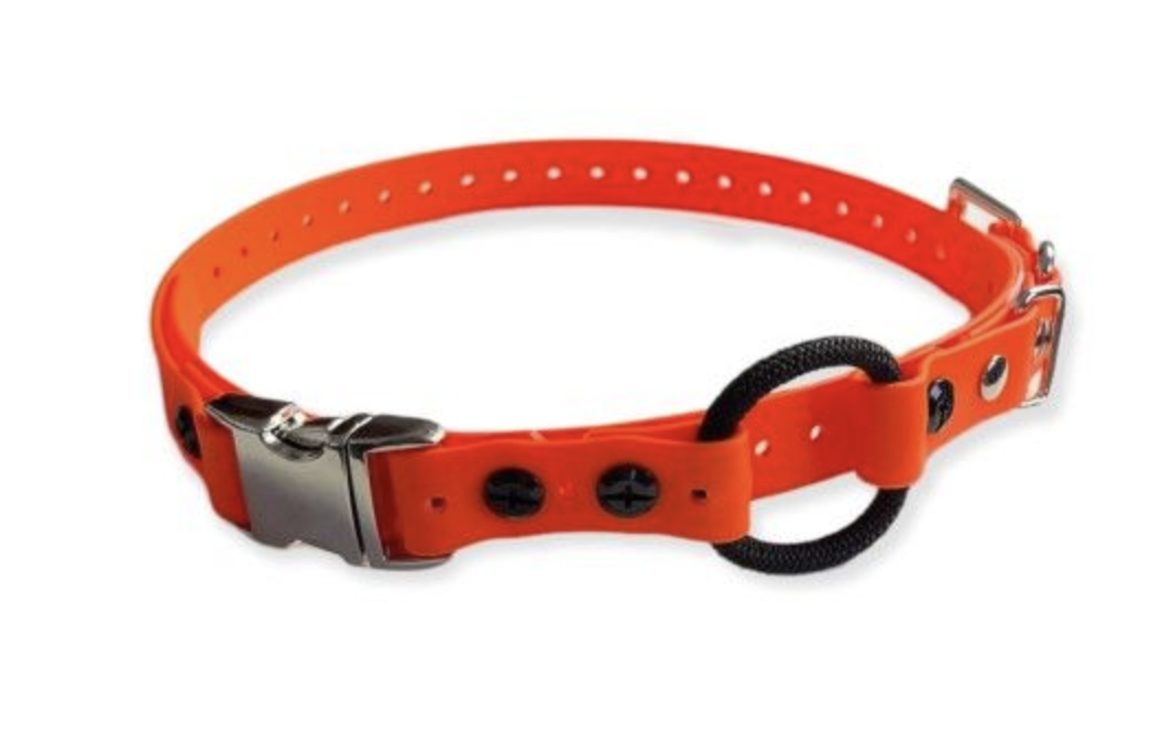 Quick Release E-Collar Strap - Image 3