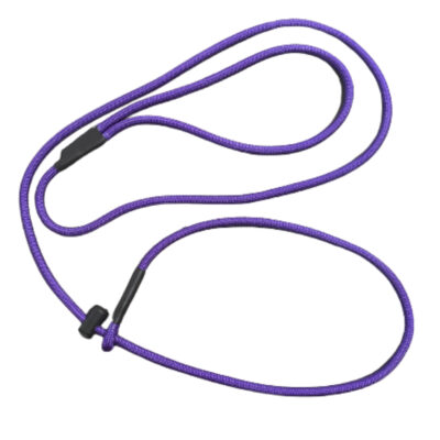 2 Ft Slip Leash