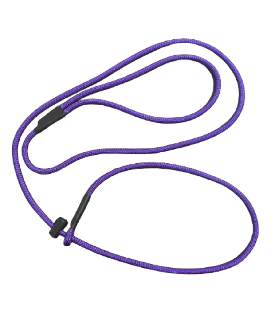2 Ft Slip Leash