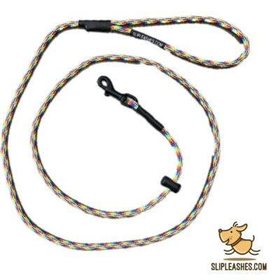 Rainbow Slip With A Clip