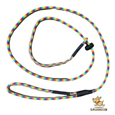 Rainbow Slip Leash