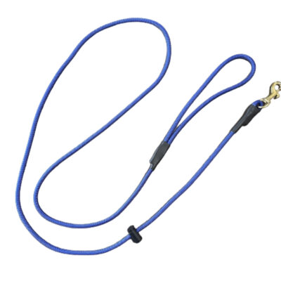 Blue Slip With A Clip