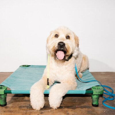 Good Dogz KC Indoor Slip Tabs 24", 30", 36" options