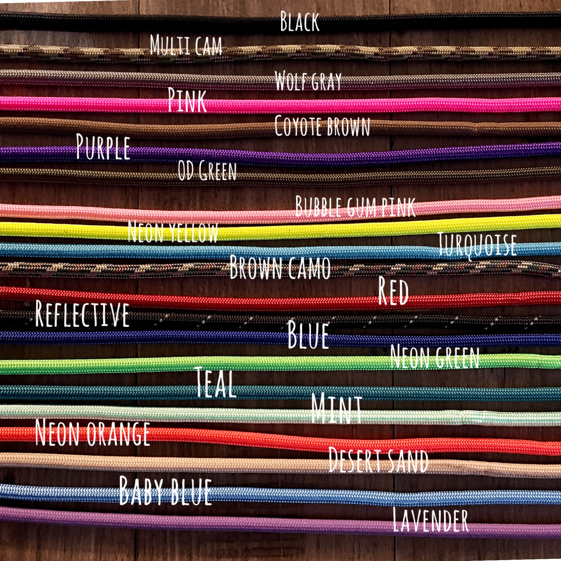 100 Pack Of Slip Leashes - Image 3