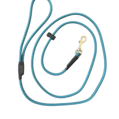 Teal Slip With A Clip