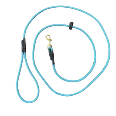Turquoise Slip With A Clip