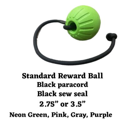Standard Foam Reward Ball