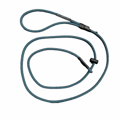 Teal & Black Diamond Slip Leash