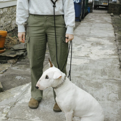 The Happy Hound Hands-Free 10ft