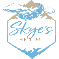 Skye's The Limit Slip Leash