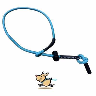 2 Ft Slip Leash without a handle