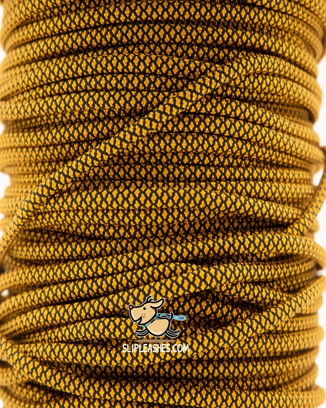 Bumblebee Slip Leash