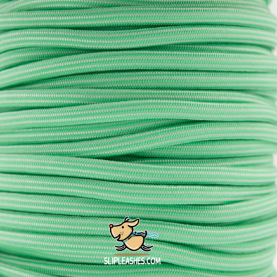 Mint Slip Leash