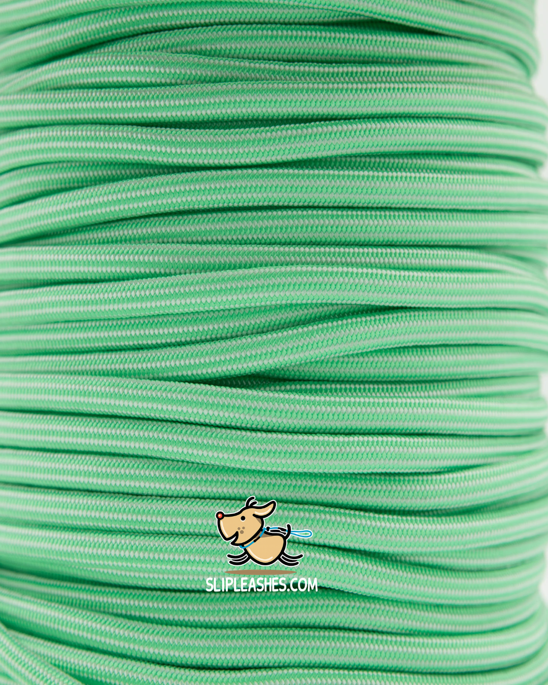 Mint Slip Leash