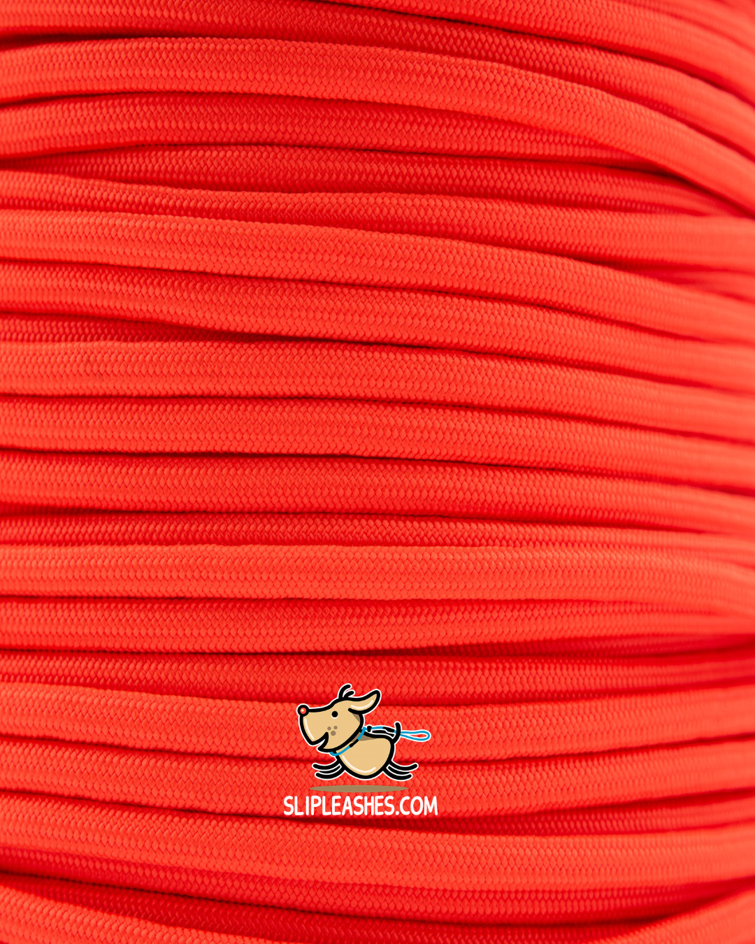 Neon Orange Slip Leash
