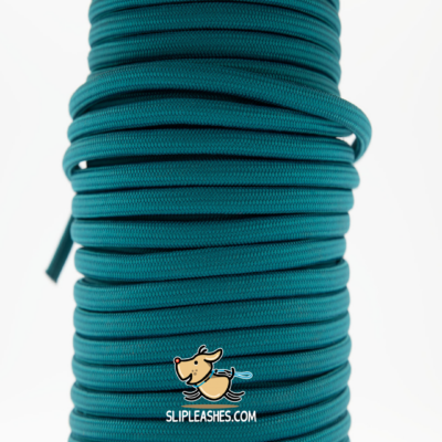 Teal Slip Leash