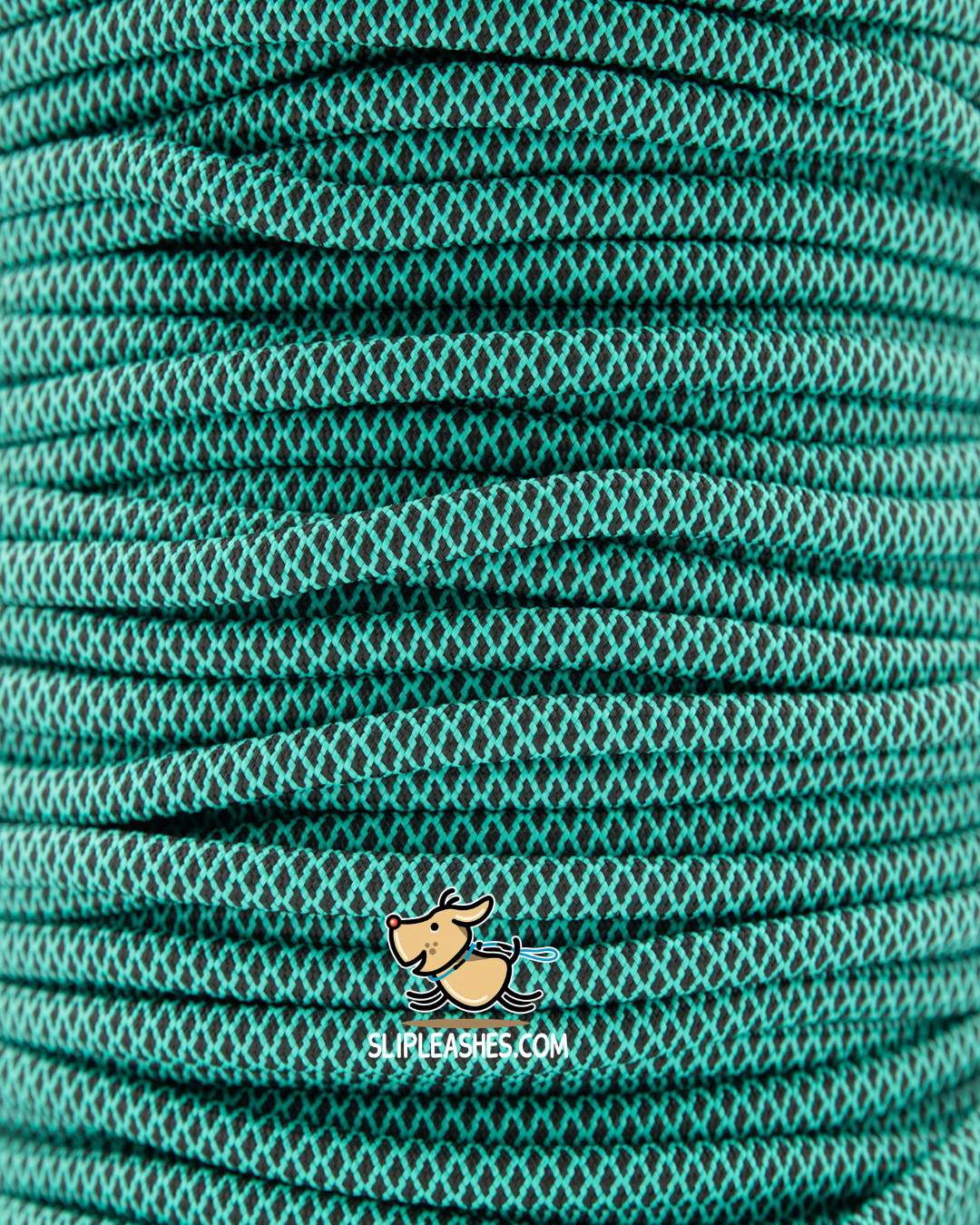 Teal & Black Diamond Slip Leash
