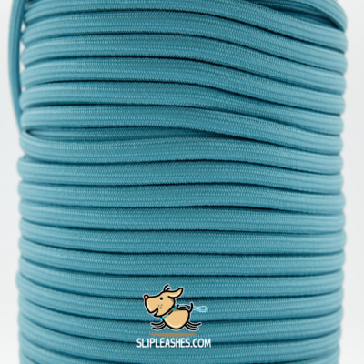 Turquoise Slip Leash