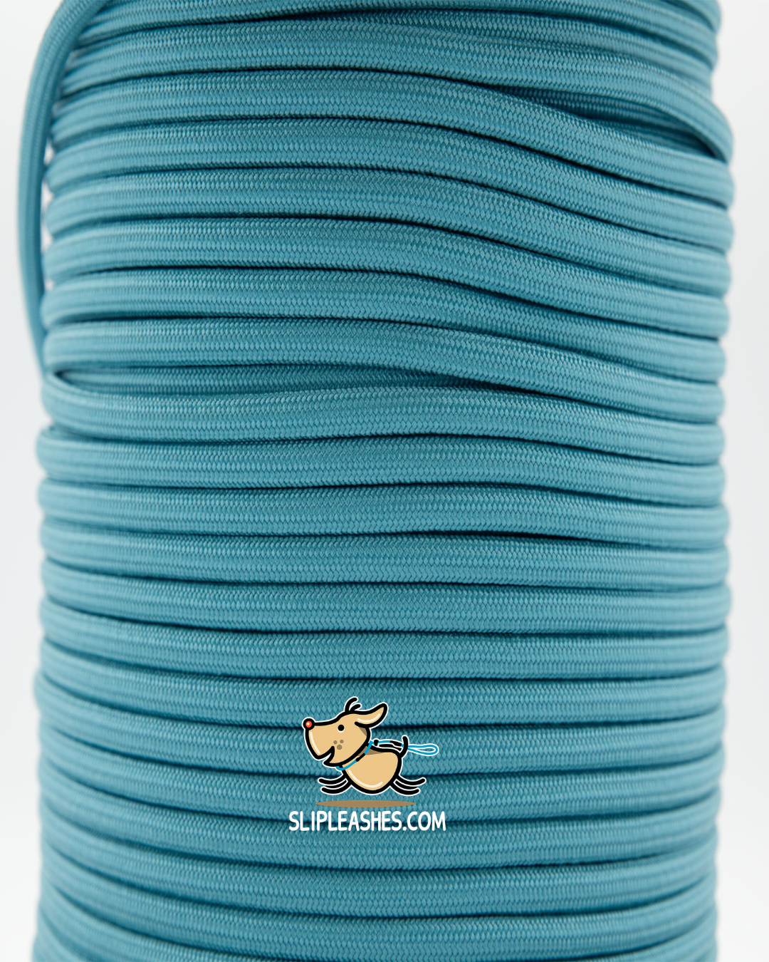 Turquoise Slip Leash