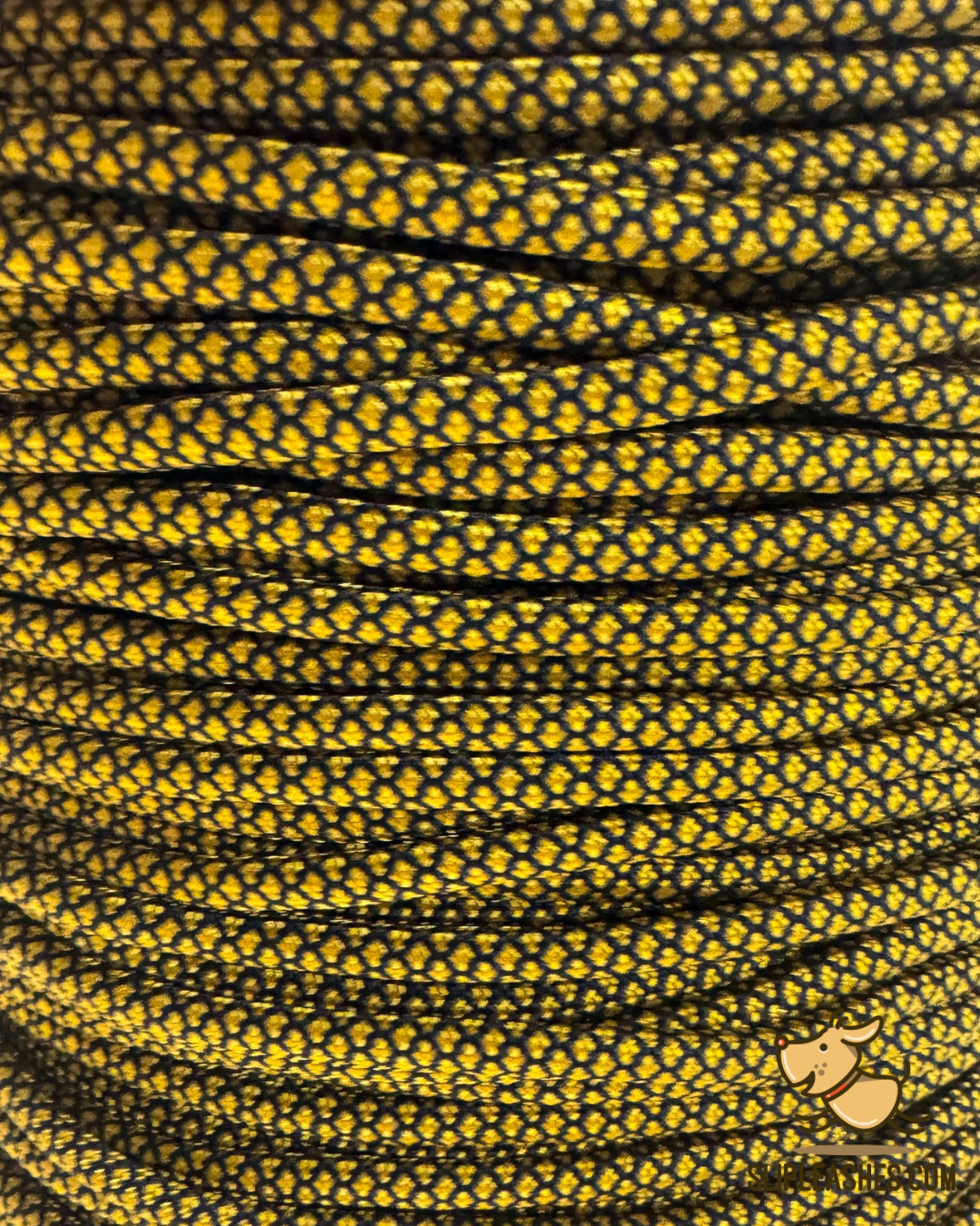 Bumblebee Slip Leash