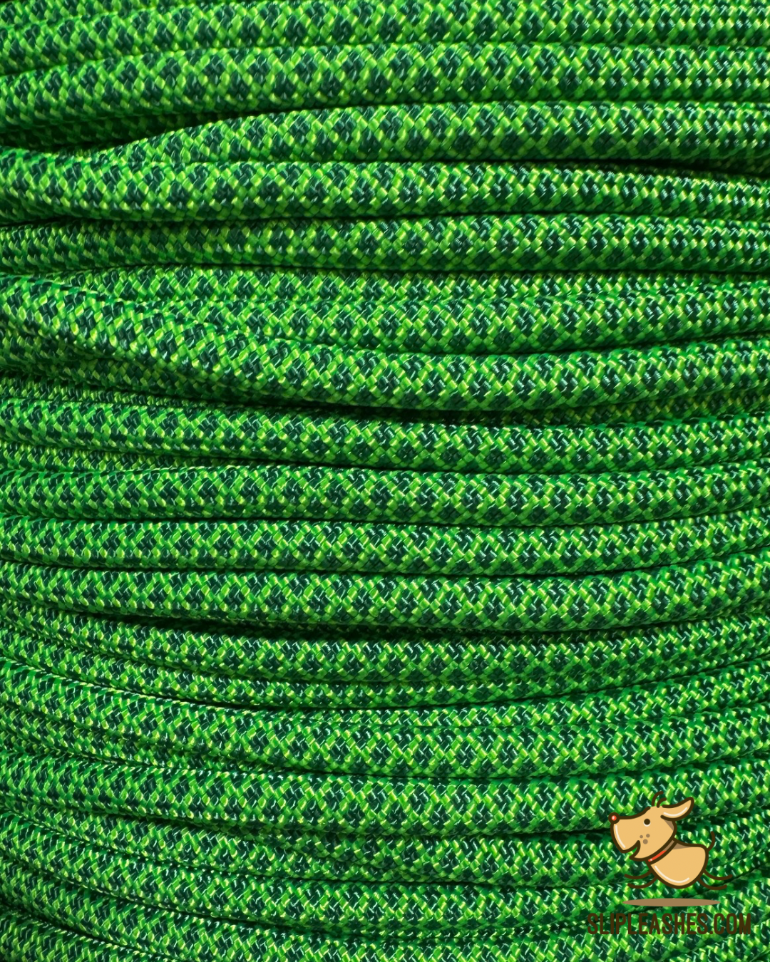 Tree Frog Slip Leash