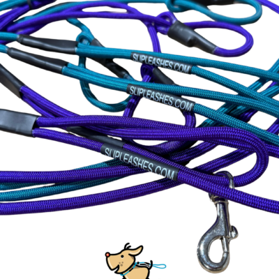 6ft Slip Leash with clip in the handle