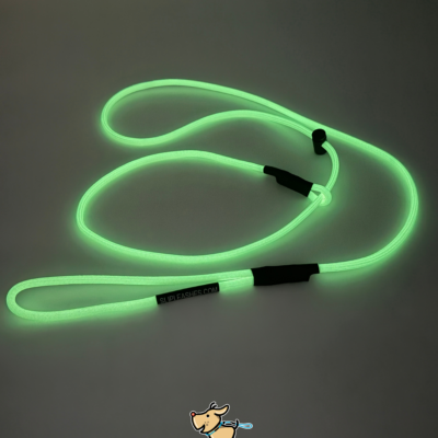 Glow Slip Leash